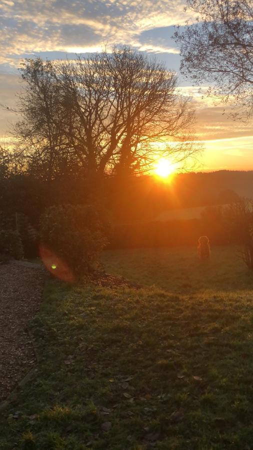 Meadowside Cottage, Characterful Grade 2 Listed Cottage Near To Wadebridge And Padstow Eksteriør billede