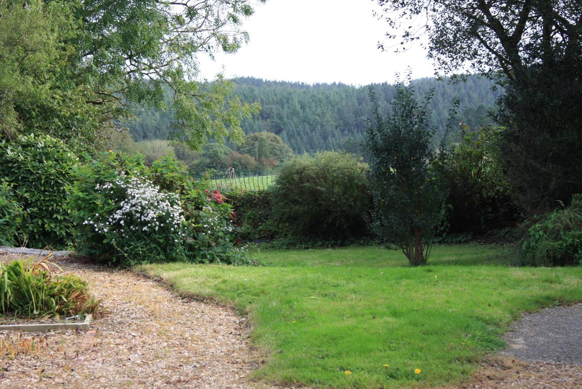 Meadowside Cottage, Characterful Grade 2 Listed Cottage Near To Wadebridge And Padstow Eksteriør billede