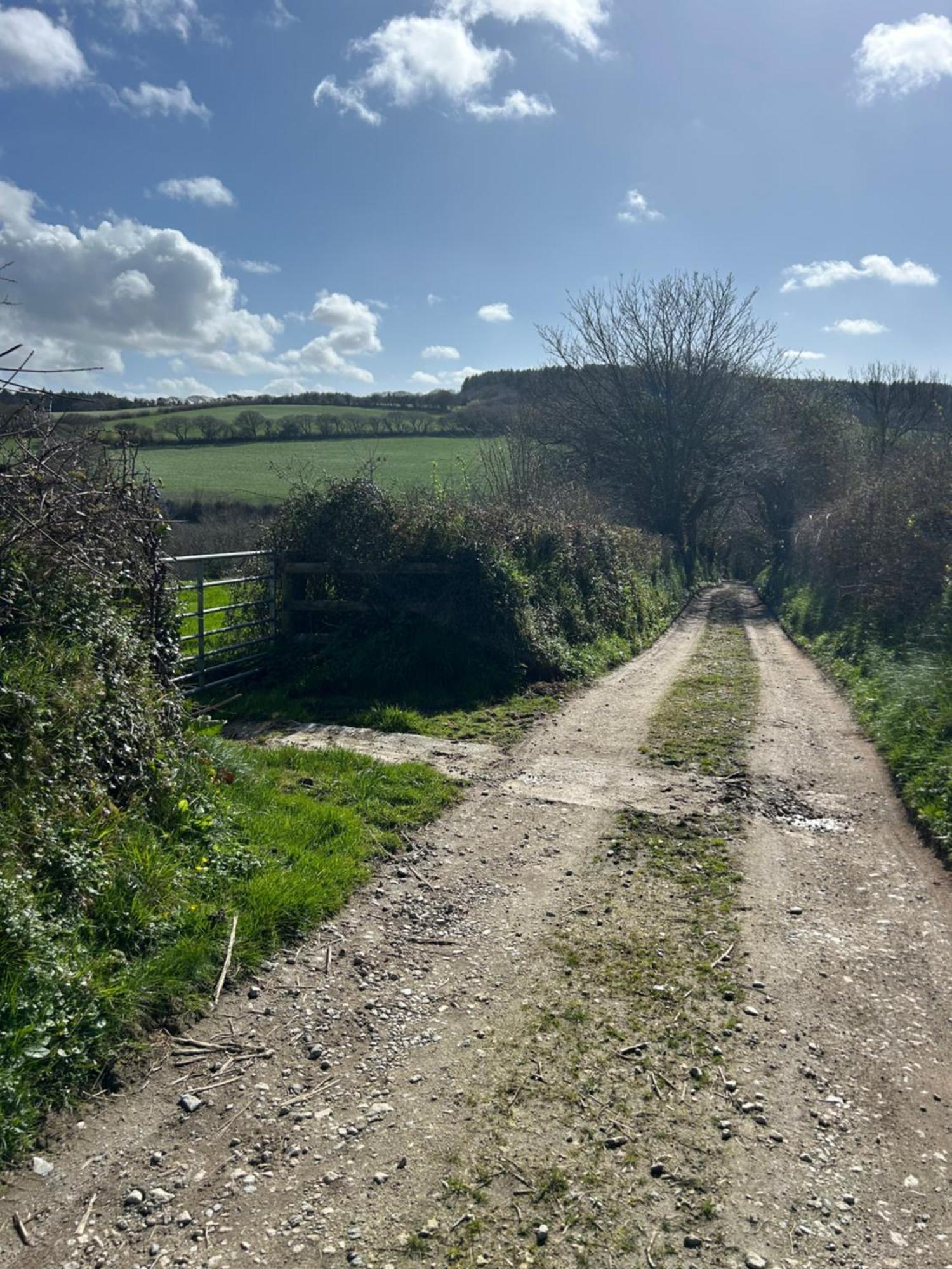 Meadowside Cottage, Characterful Grade 2 Listed Cottage Near To Wadebridge And Padstow Eksteriør billede